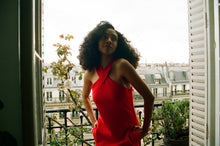 Load image into Gallery viewer, 1970s Pierre d’Alby dress