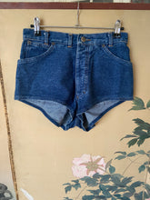 Load image into Gallery viewer, 1990s Oaks by Ferre shorts